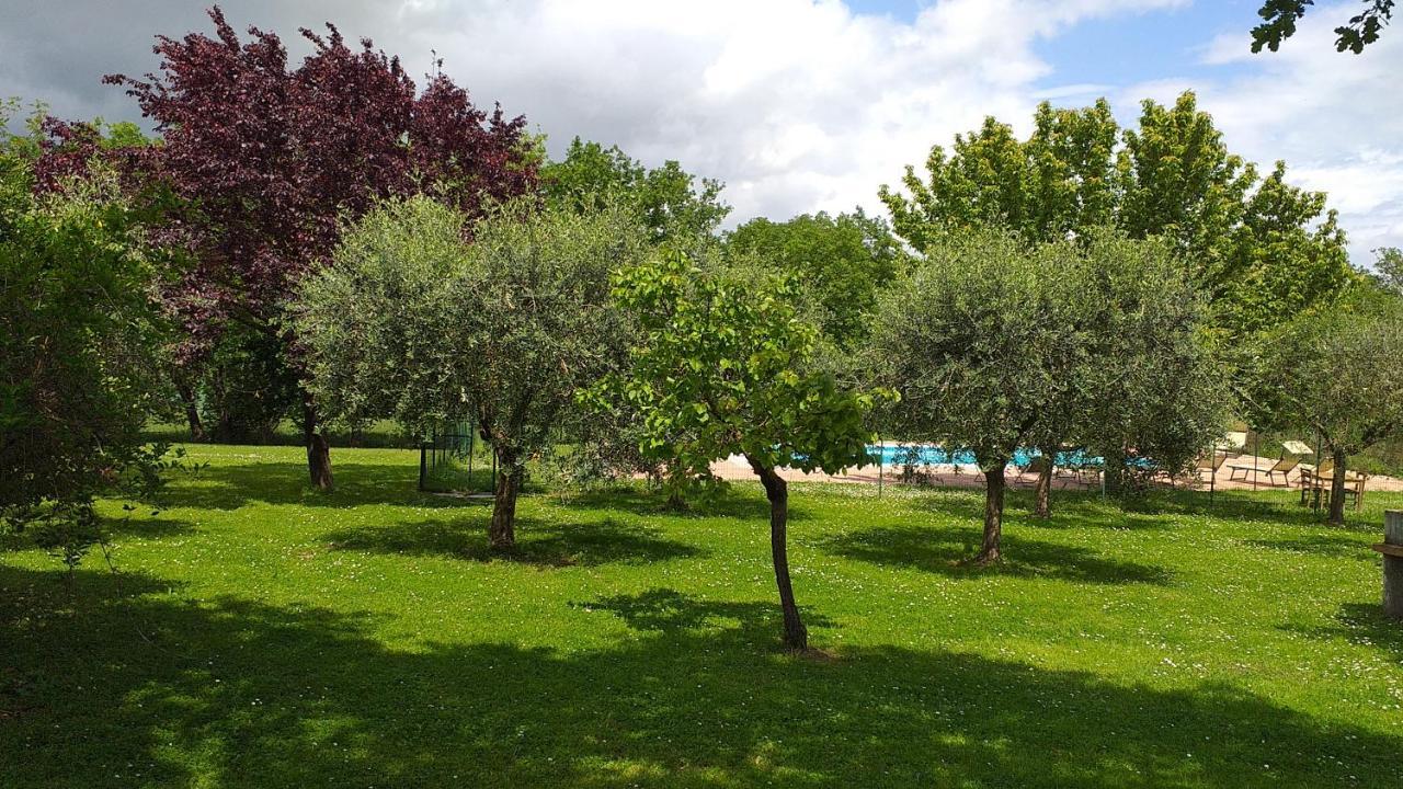 La Vecchia Fornace Guest House Cortona Ngoại thất bức ảnh